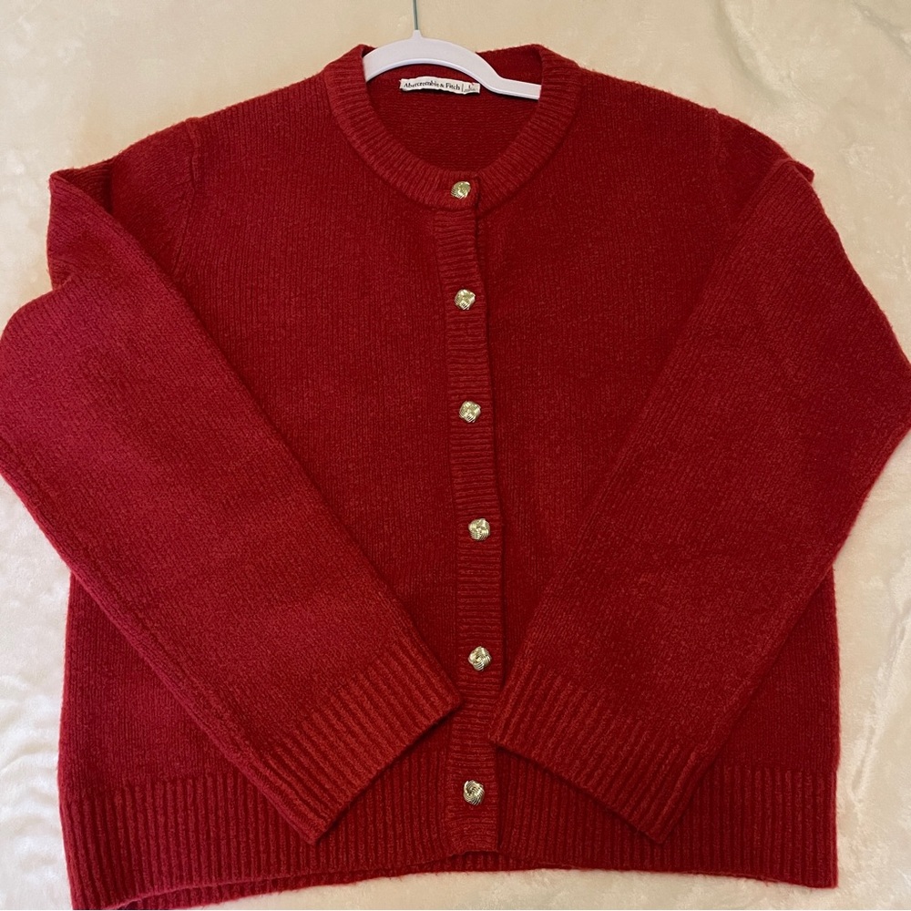 Abercrombie & Fitch Rust Red Cardigan Sweater Large - Picture 2 of 11